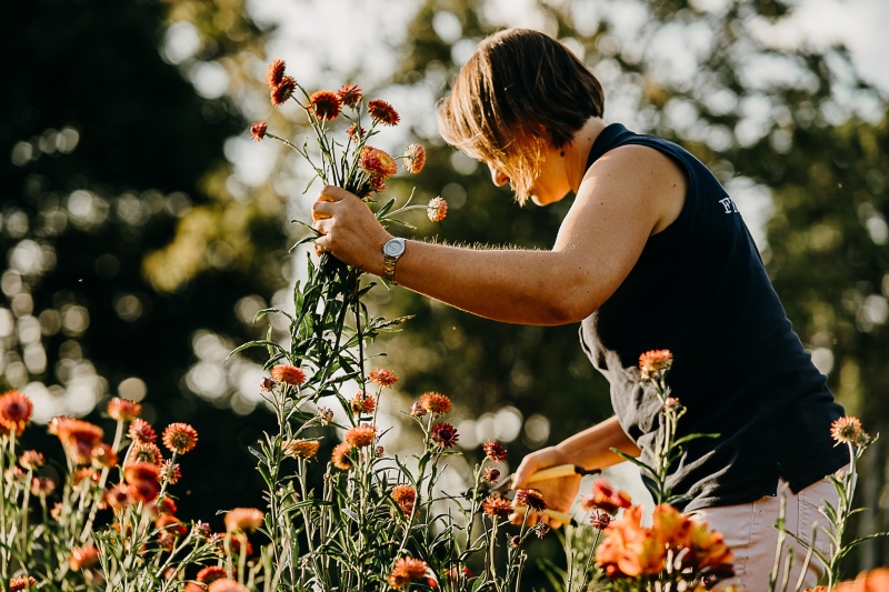 Ledbury Flower Farmer